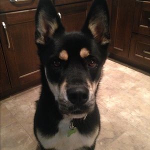 Meet your Posher, Kaitlin